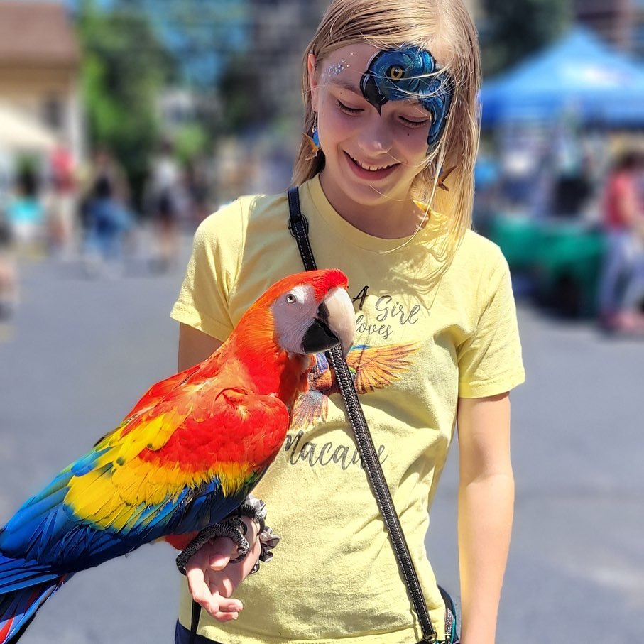 Parrot stars clearance