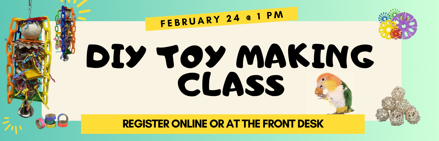 DIY Toy Making Class With Joyce & Parrot Stars