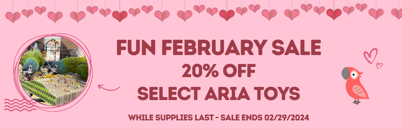 Fun February Aria Toys Sale
